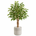 Plante artificielle ficus 180 cm en plastique vert avec pot en ciment pour intérieur
