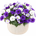 Plante artificielle en pot 35 cm pétunias violet blanc feuillage vert décoration intérieure