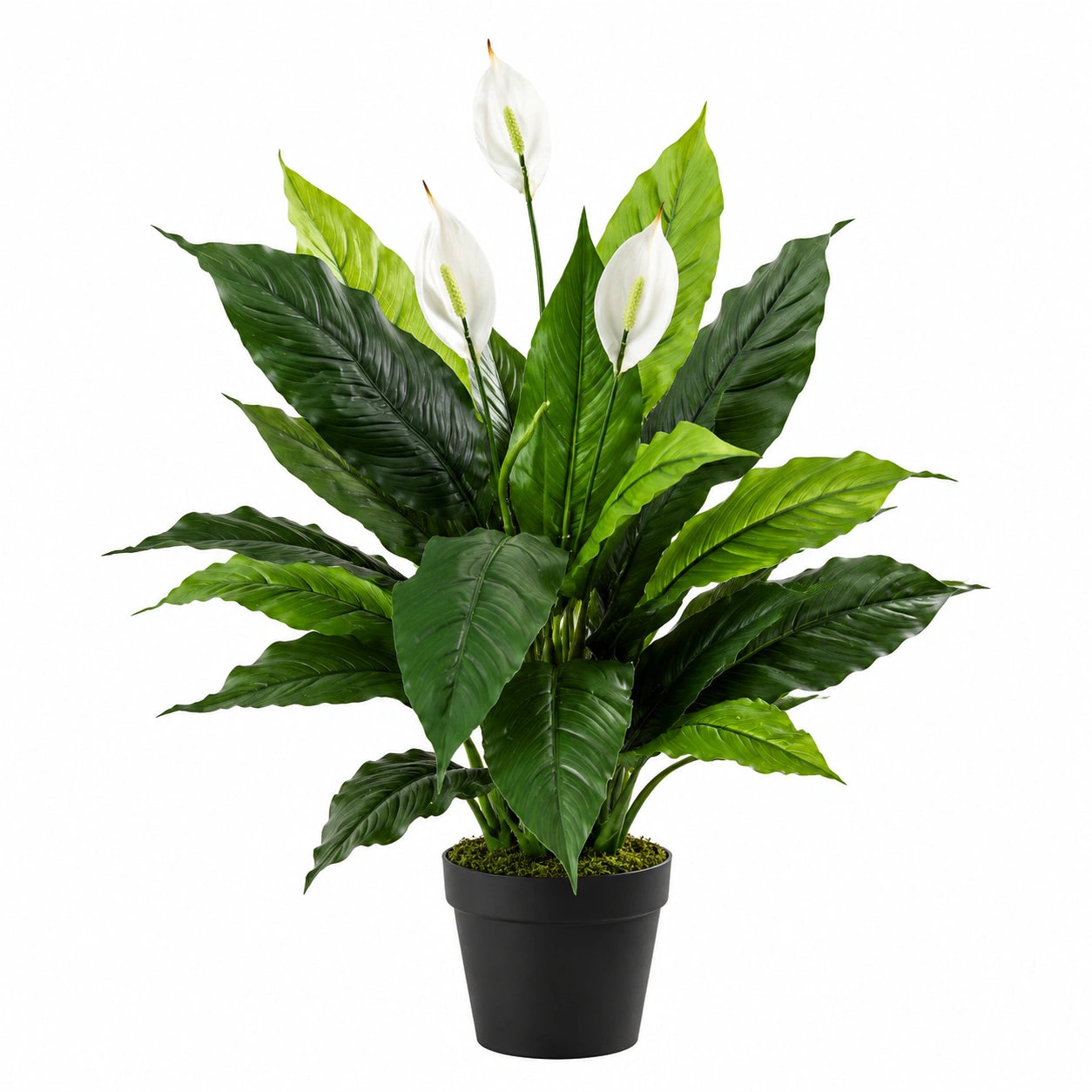 Plante artificielle en pot 90 cm feuillage vert fleurs blanches décoration intérieure